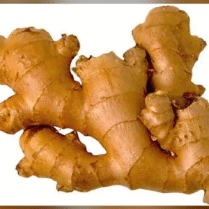 Ginger (अदरक)