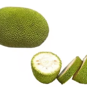 Jackfruit / Kathal (कटहल)