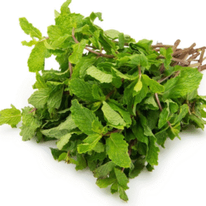 Mint Leaves (पदुीना पत्ता)
